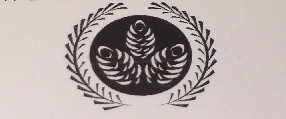 Local landscape installation for beautiful yards across Wewahitchka, FL - G'S Landscaping & Pressure Washing