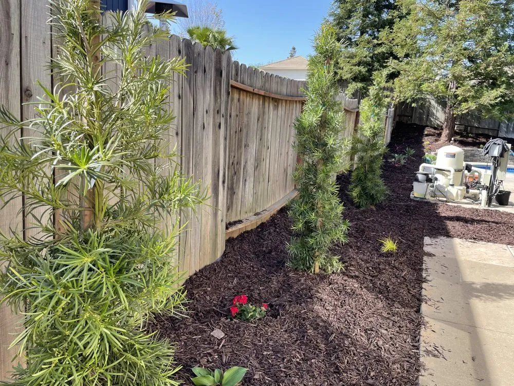 Local yard maintenance in Fair Oaks, CA by GS Landscaping