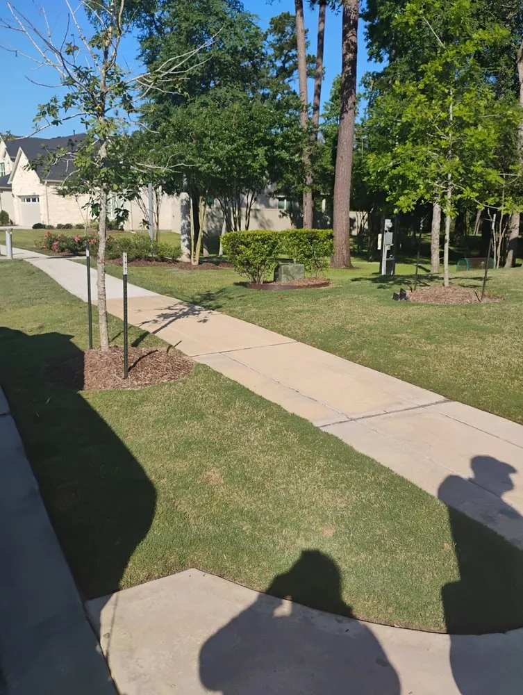 Affordable yard maintenance in Magnolia, TX - G&S Landscaping