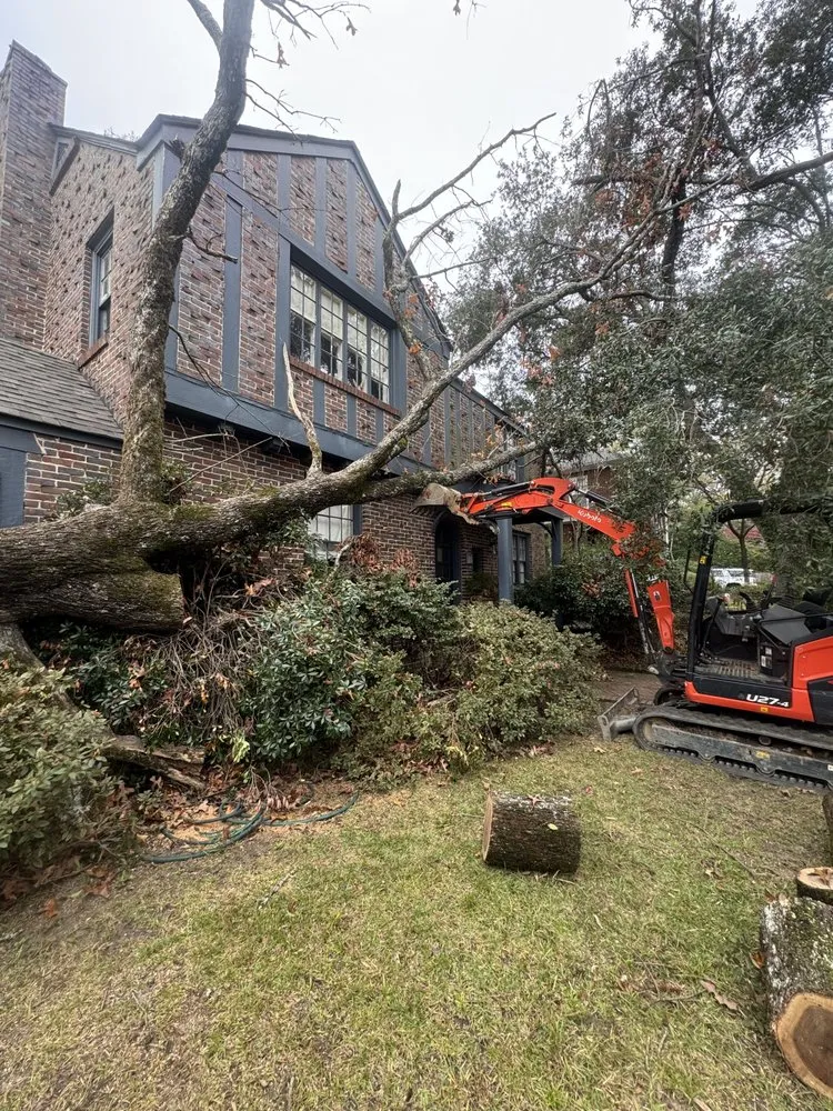 Local yard cleanup service in West Columbia, SC by GS Landscaping