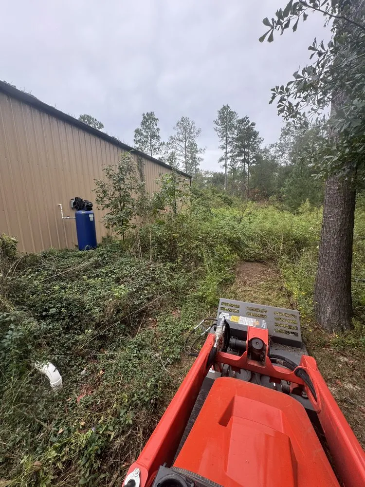 Reliable lawn care service for beautiful yards across West Columbia, SC - GS Landscaping