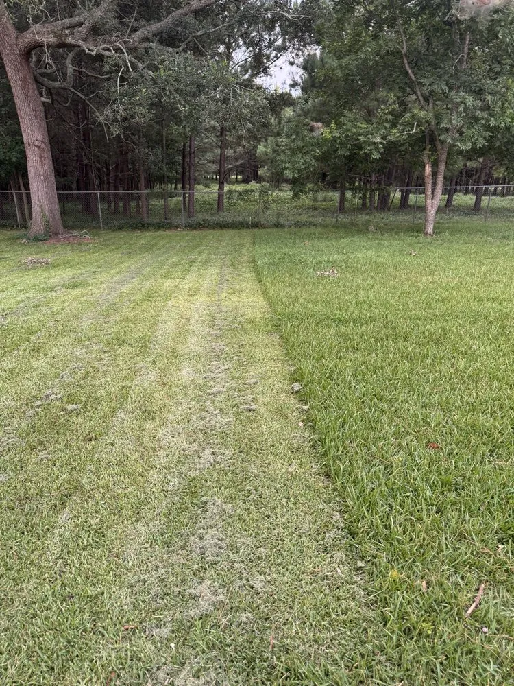 Affordable yard maintenance with custom design across West Columbia, SC - GS Landscaping