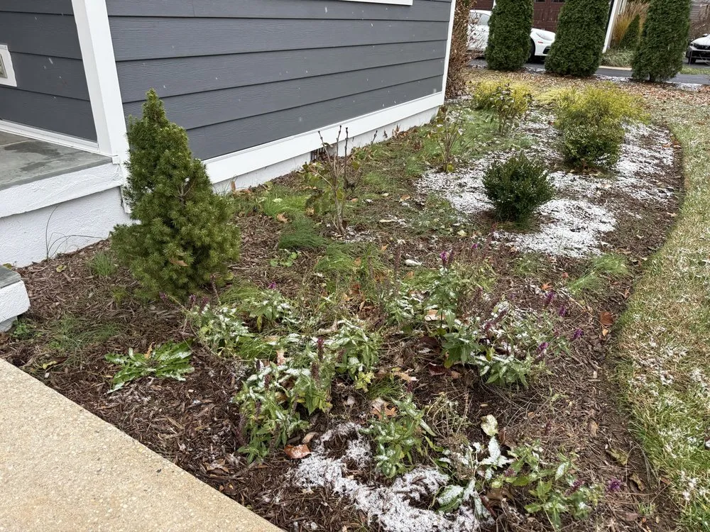 Expert landscape design experts serving Rehoboth Beach, DE - Gs Lanscaping&Maintance