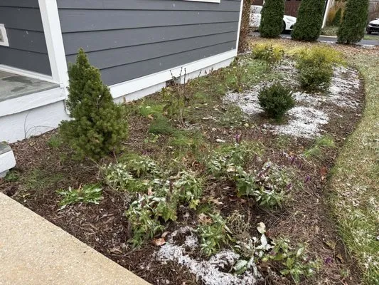 Gs Lanscaping&Maintance