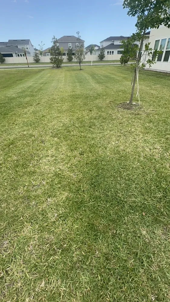 Top-rated residential landscaping with custom design in Jacksonville, FL by Gs Lawncare