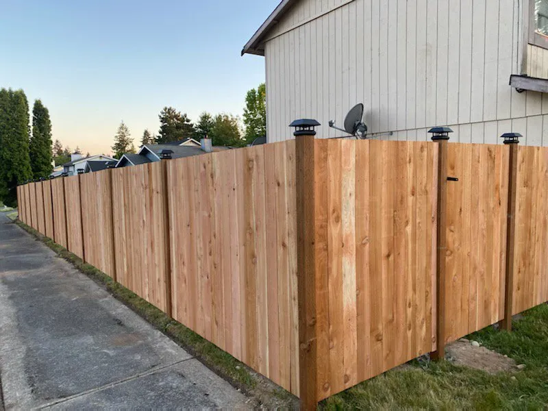 Expert yard maintenance near you in Tacoma, WA by G’s Outdoor Upgrades