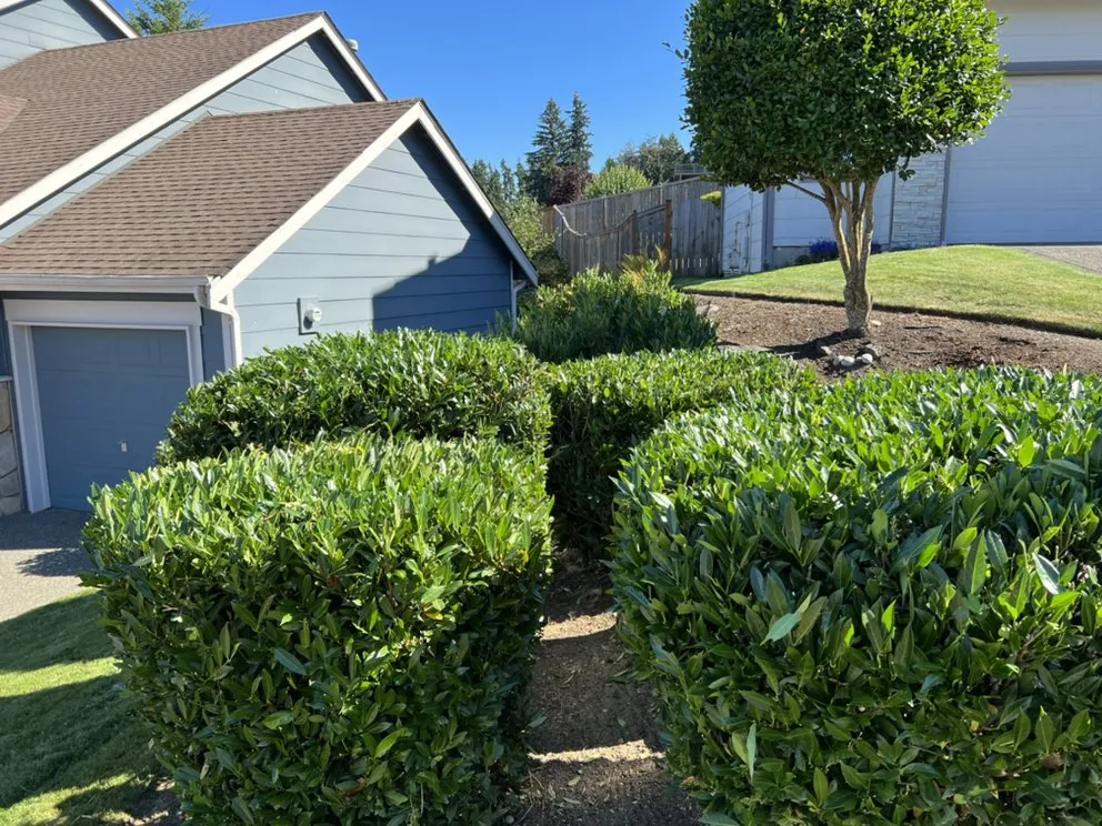 Professional landscaping services in Tacoma, WA - G’s Outdoor Upgrades