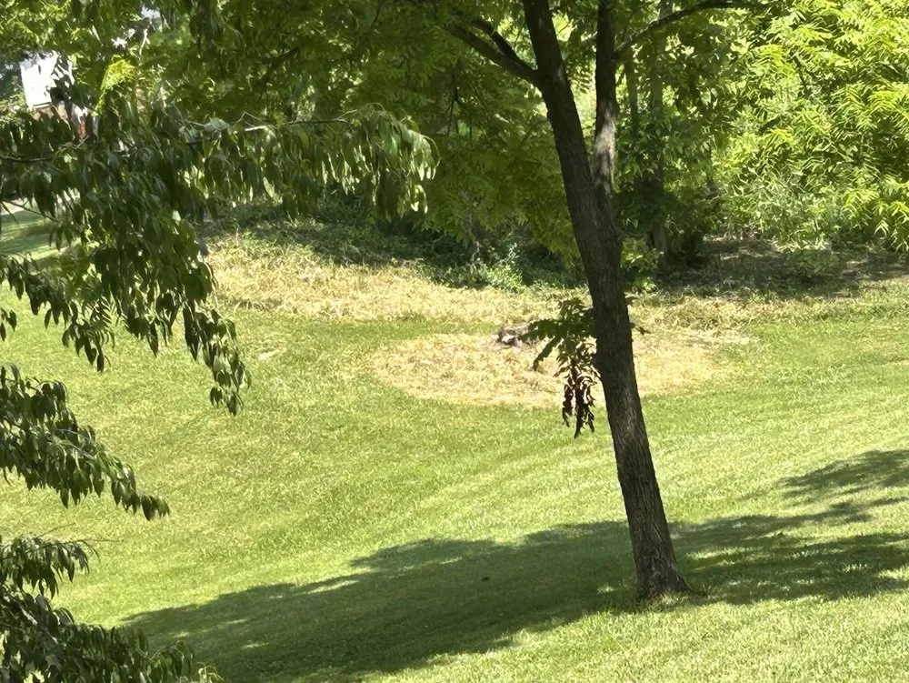 Top-rated residential landscaping experts serving Richmond, KY - Gs Outsiders