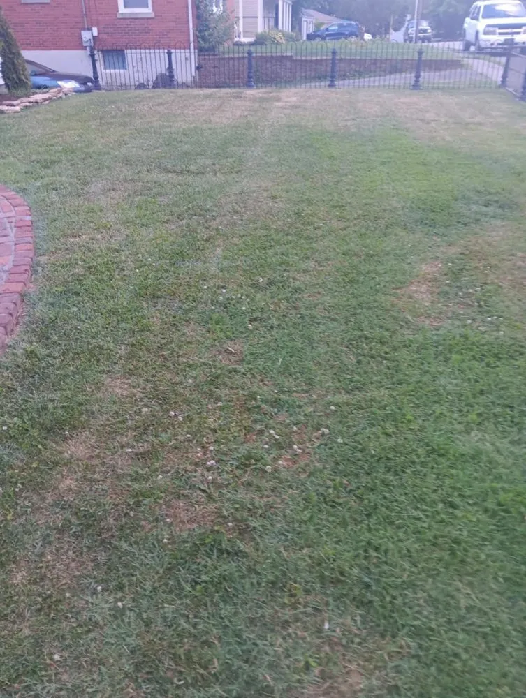 Affordable yard maintenance near you across Richmond, KY - Gs Outsiders