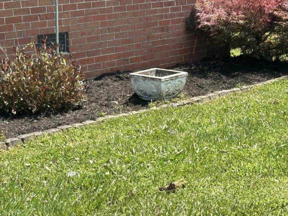 Reliable yard maintenance for residential properties in Richmond, KY by Gs Outsiders