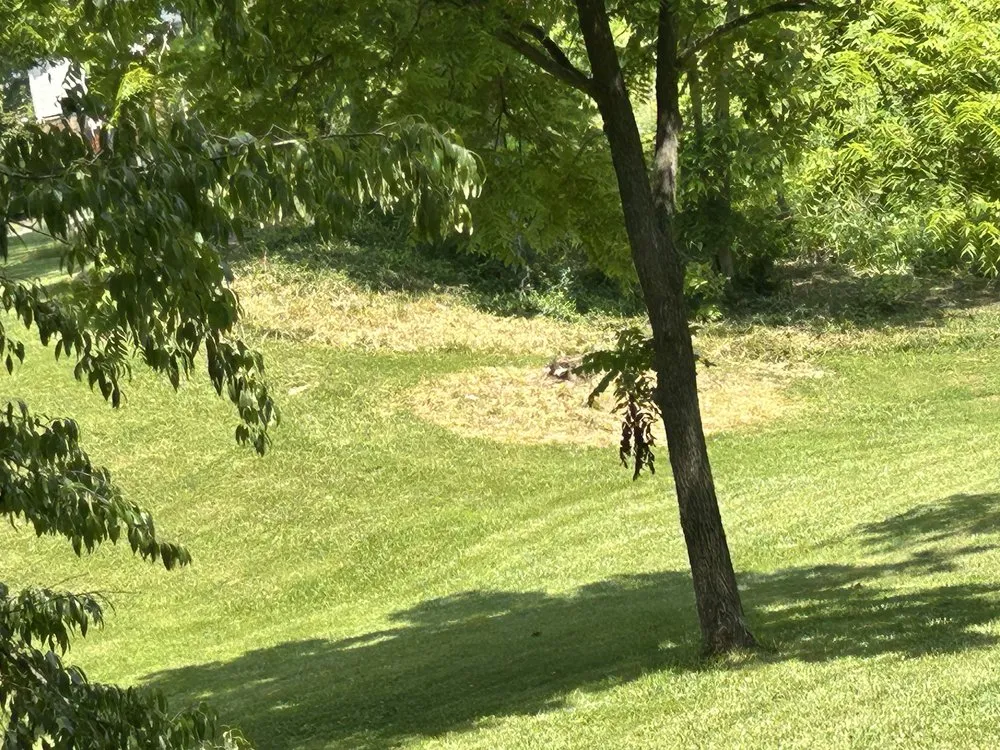 Trusted landscape design in Richmond, KY by Gs Outsiders