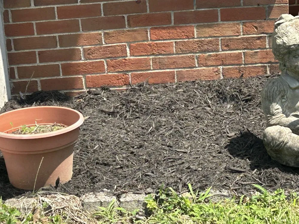 Affordable lawn care service for year-round maintenance across Richmond, KY - Gs Outsiders