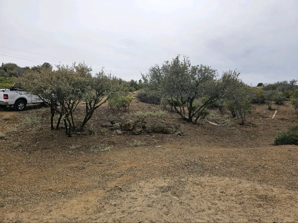 Expert landscaping services experts serving Prescott, AZ - G&S Precision