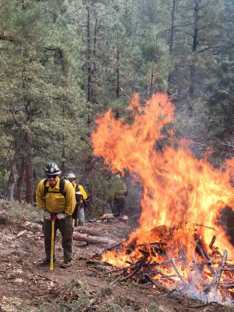 Trusted landscaping services for residential properties in Prescott, AZ by G&S Precision