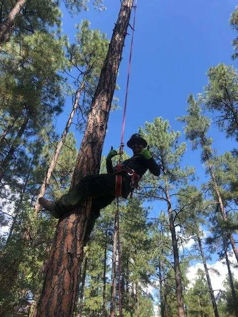 Expert outdoor landscaping in Prescott, AZ by G&S Precision