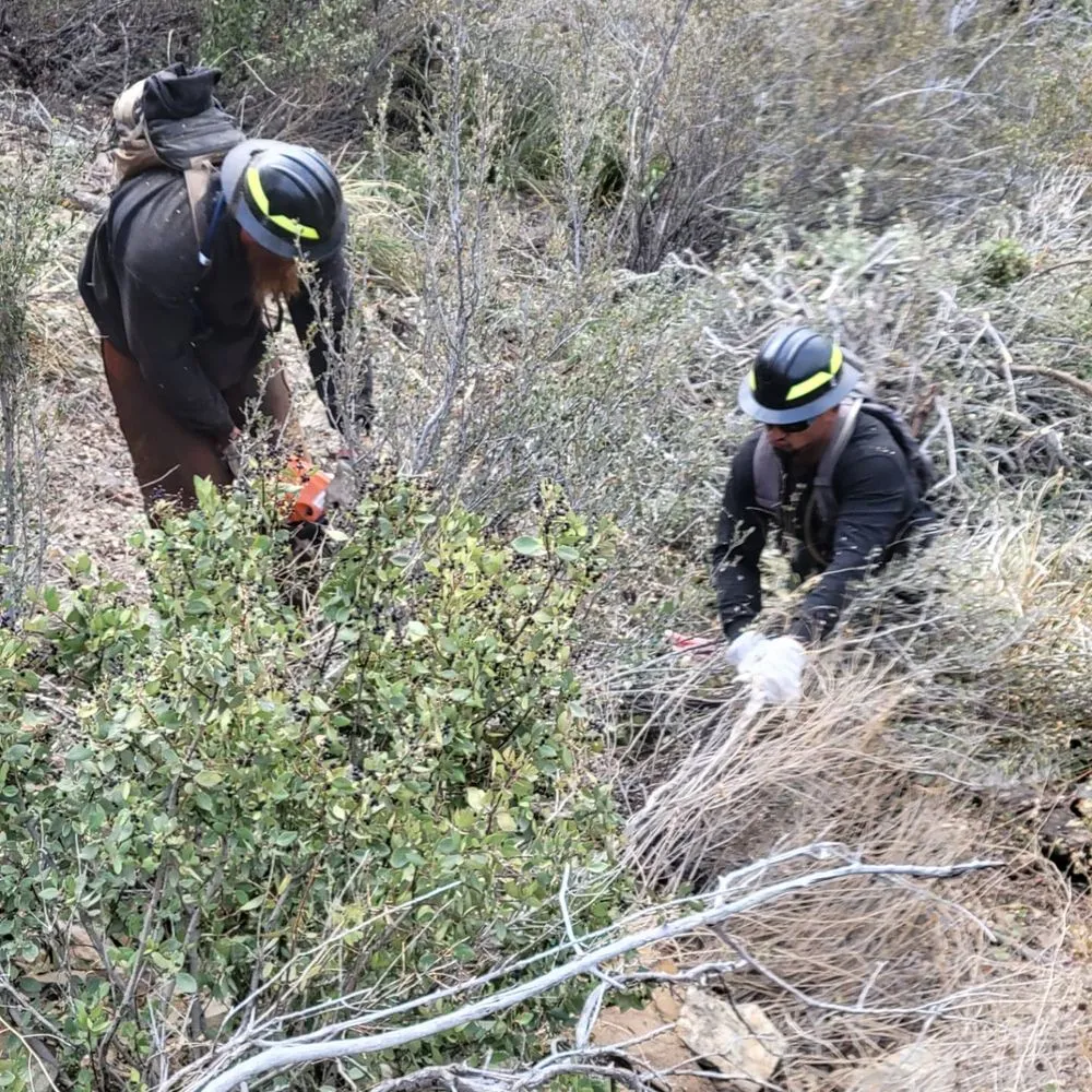 Top-rated lawn care service with custom design across Prescott, AZ - G&S Precision