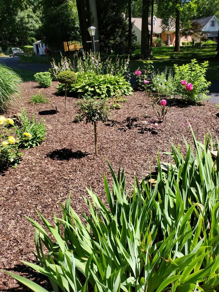 Reliable landscaping services experts serving Coatesville, PA - GS Services