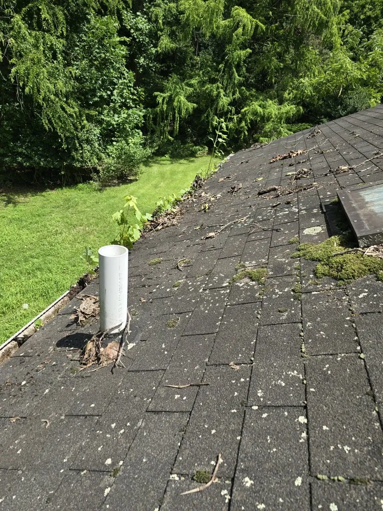 Professional yard maintenance in Coatesville, PA by GS Services