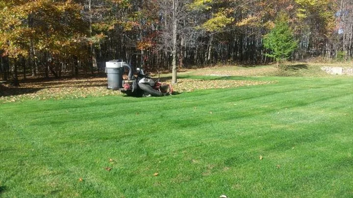 Local landscape installation experts serving Lorain, OH - G&S Services