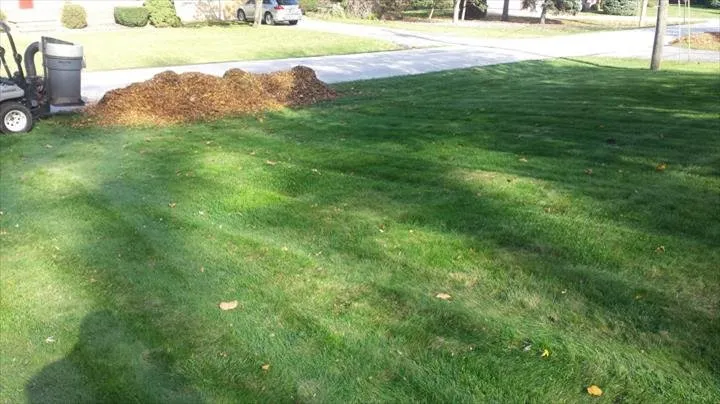 Professional landscape installation in Lorain, OH - G&S Services