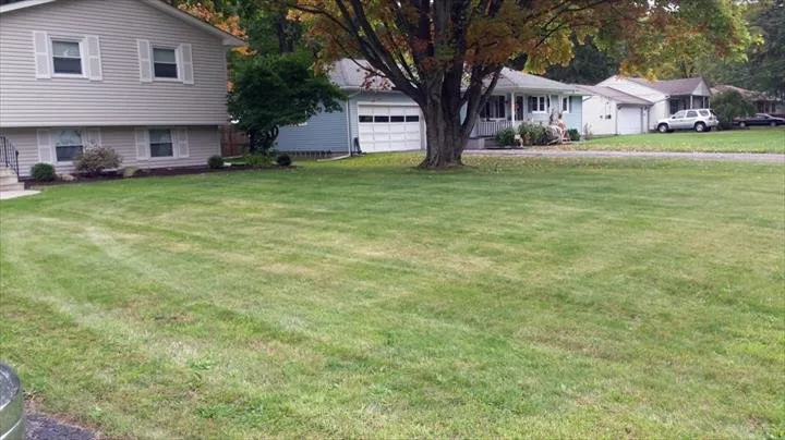 Professional landscape installation in Lorain, OH - G&S Services
