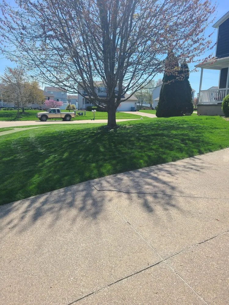 Expert yard cleanup service for residential properties in Lorain, OH by G&S Services