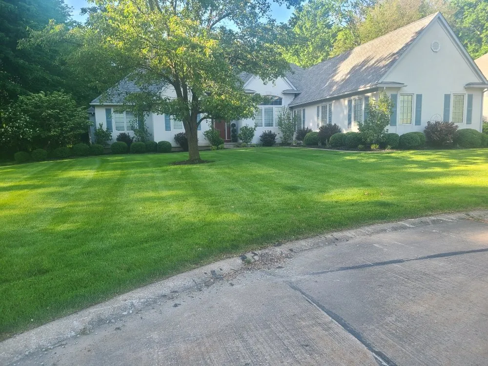 Custom yard cleanup service for residential properties in Lorain, OH by G&S Services