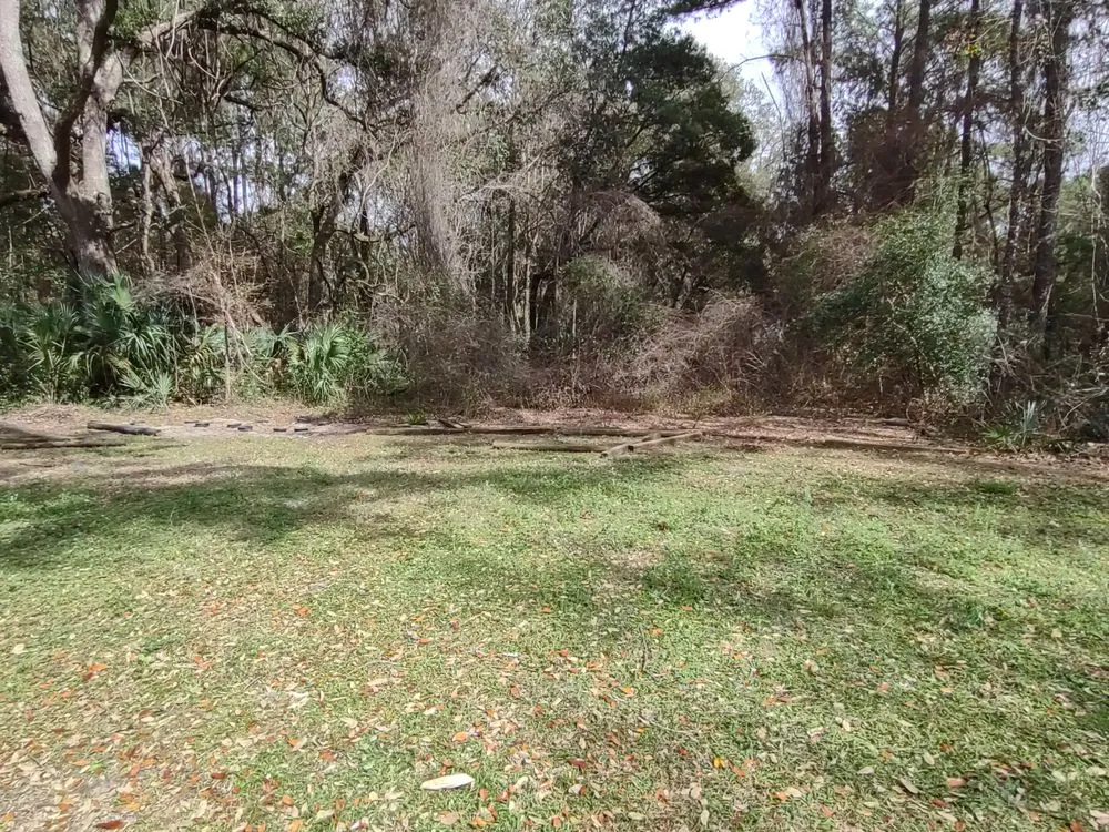 Affordable landscape design for residential properties in Ocala, FL by GS Services