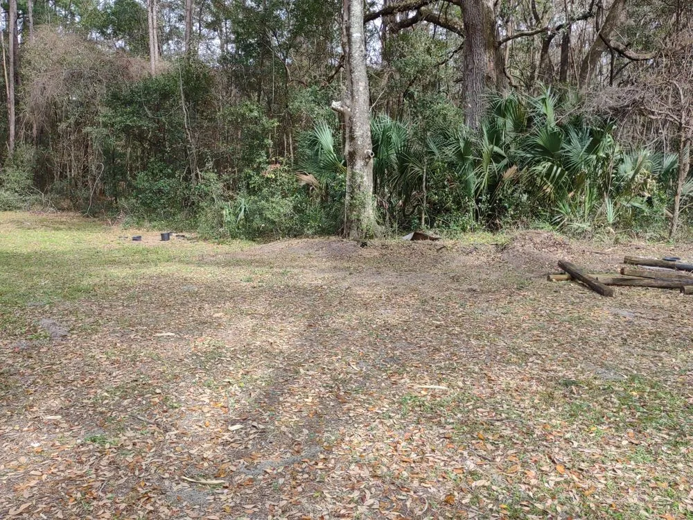 Top-rated yard cleanup service near you across Ocala, FL - GS Services