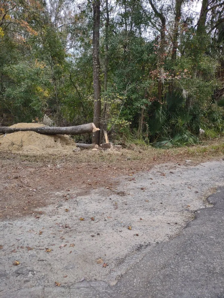 Top-rated lawn care service in Ocala, FL by GS Services