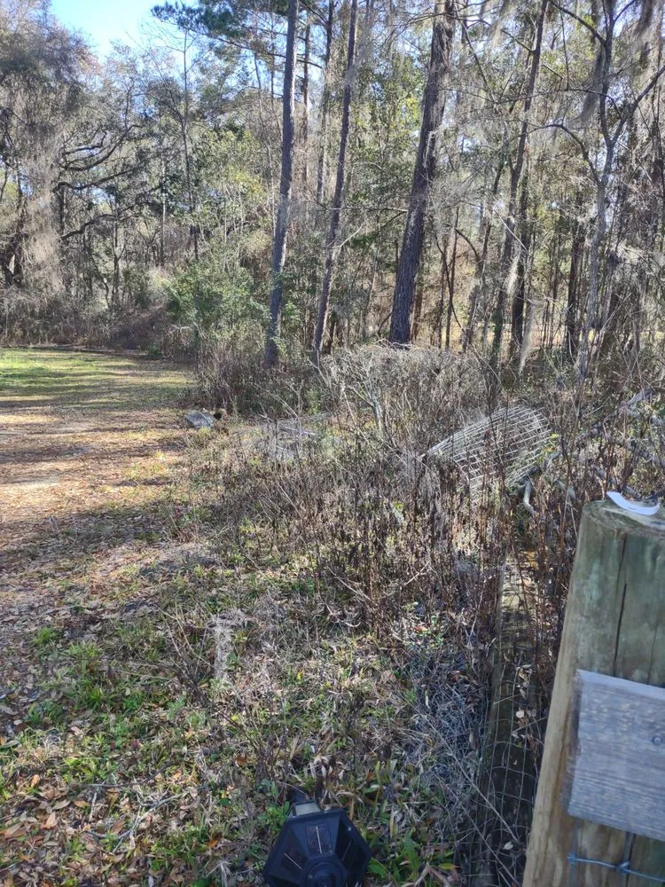 Affordable yard cleanup service for outdoor upgrades across Ocala, FL - GS Services