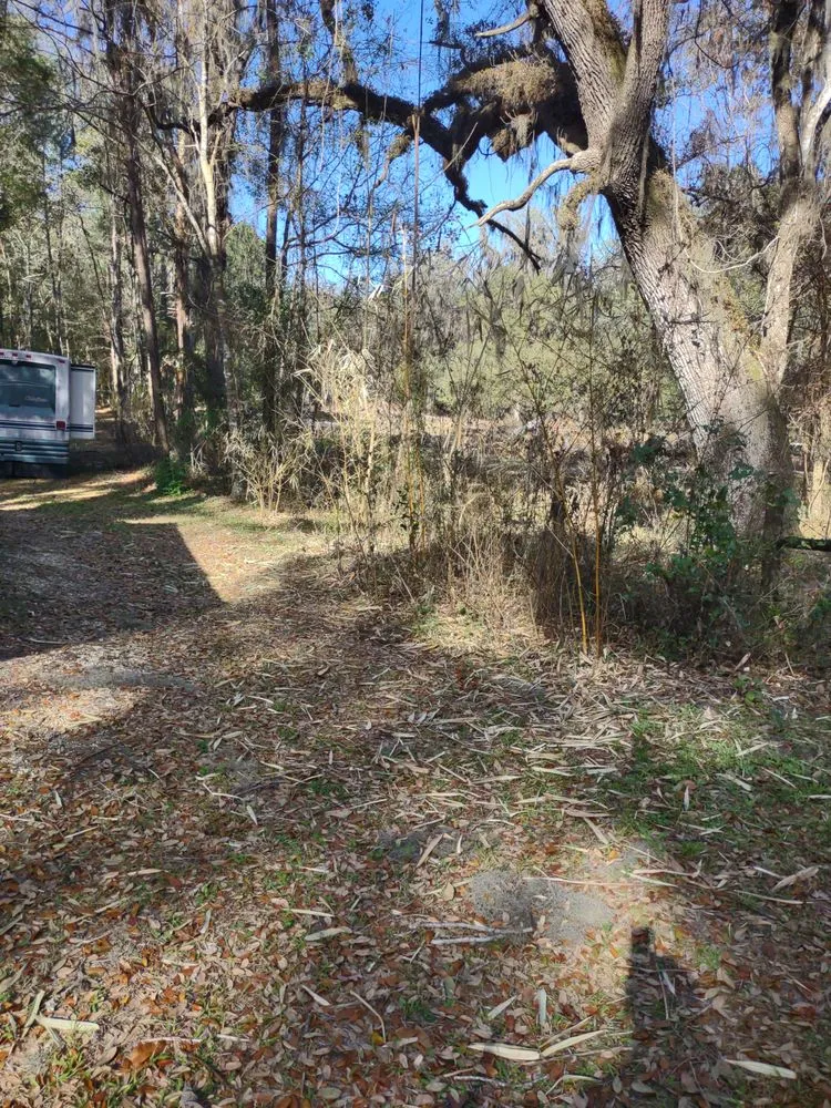 Professional lawn care service with custom design in Ocala, FL by GS Services