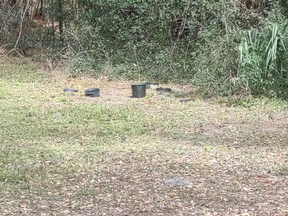 Local outdoor landscaping in Ocala, FL - GS Services