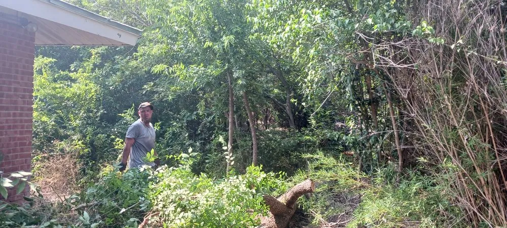 Custom residential landscaping with custom design in Universal City, TX by G&S Tafolla Family Lawn Care