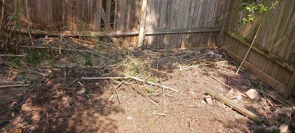 Professional residential landscaping experts serving Universal City, TX - G&S Tafolla Family Lawn Care