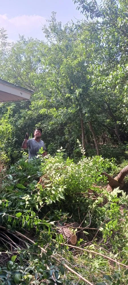 Custom landscape design for beautiful yards across Universal City, TX - G&S Tafolla Family Lawn Care