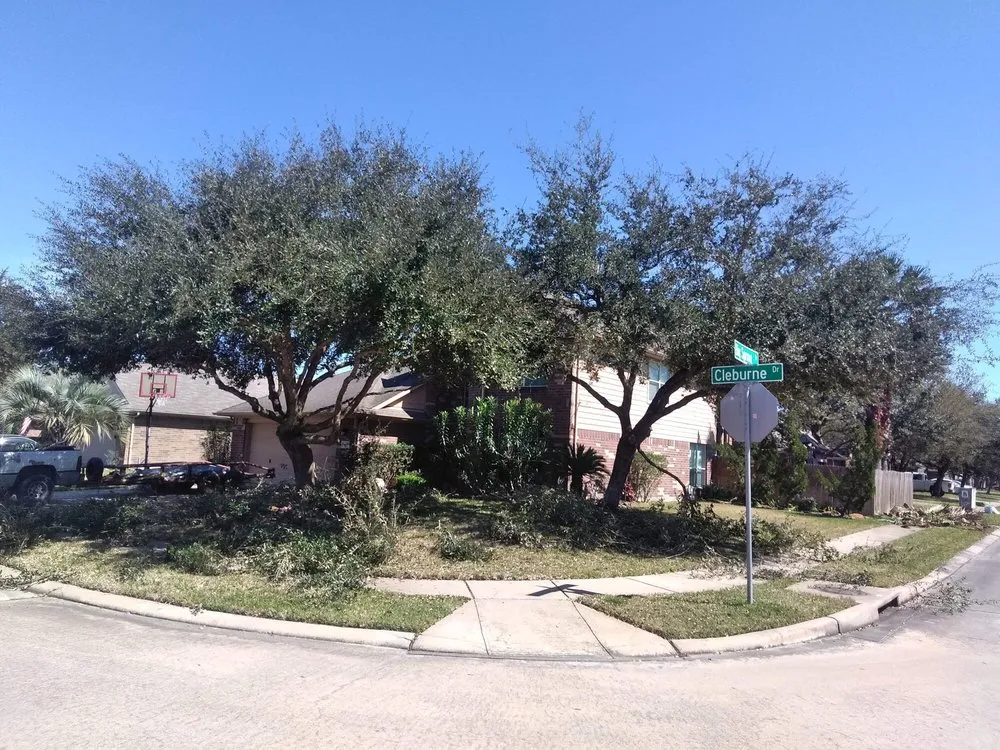 Professional lawn care service in Alvin, TX by G&S Tree Service