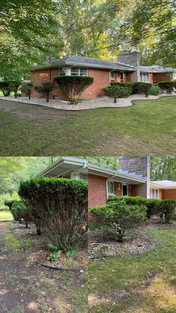 Reliable lawn care service in Michigan City, IN by G’s Yard Cleaning