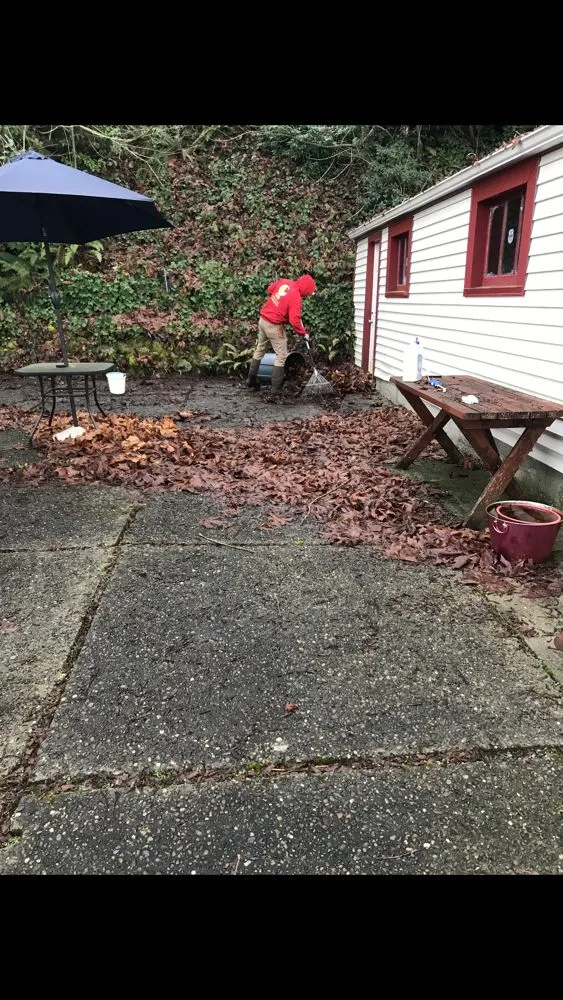Local outdoor landscaping for year-round maintenance across Federal Way, WA - GSD Landscape