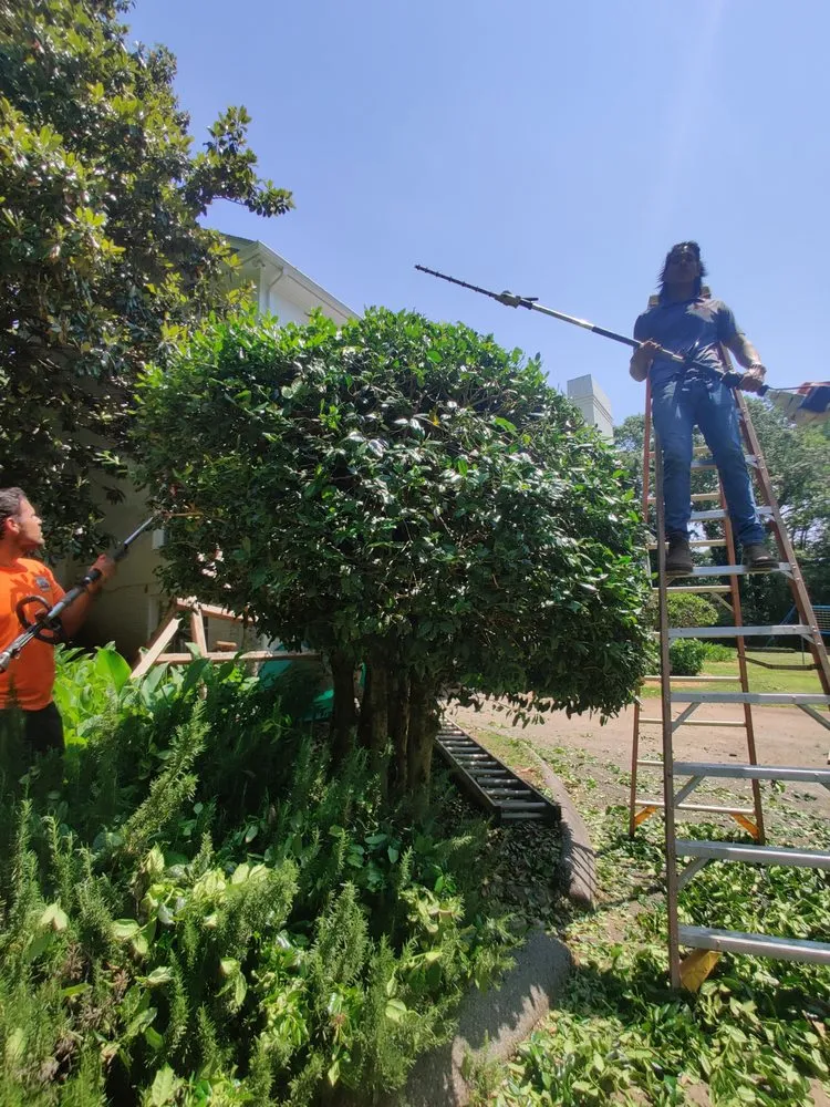 Expert landscaping services in Greer, SC by GSD Property Enhancement