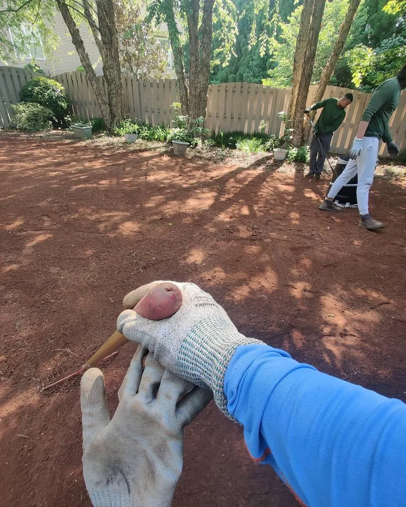 Affordable residential landscaping near you in Greer, SC by GSD Property Enhancement