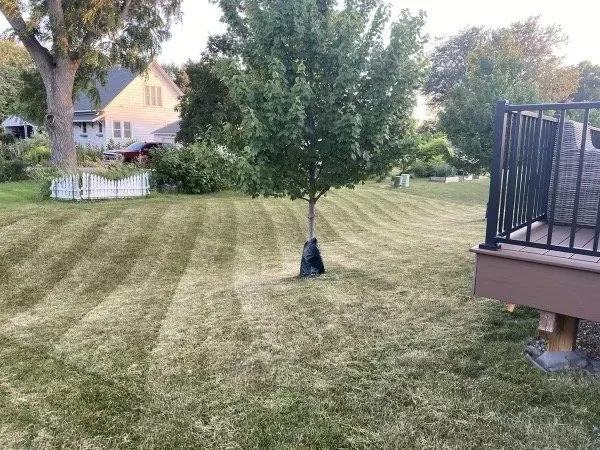 Trusted landscape installation near you across Bondurant, IA - GSF Lawn Care