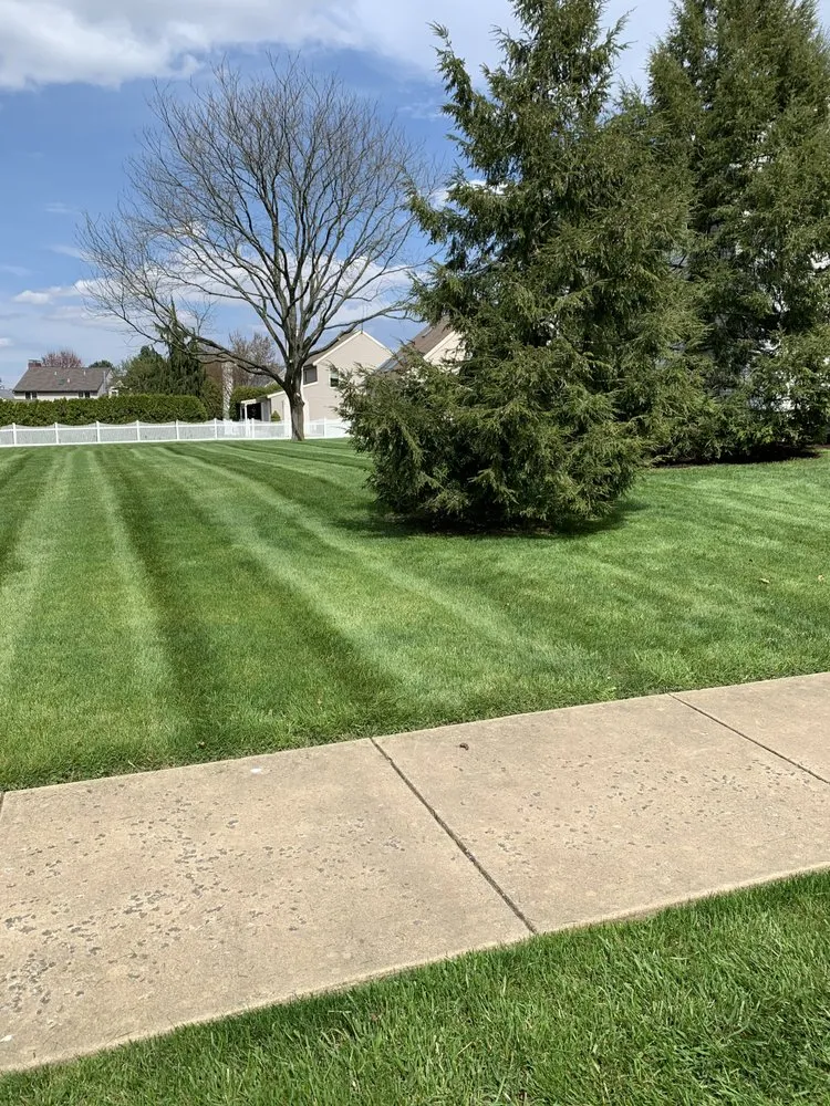 Expert outdoor landscaping for beautiful yards in Reading, PA by GSG Services
