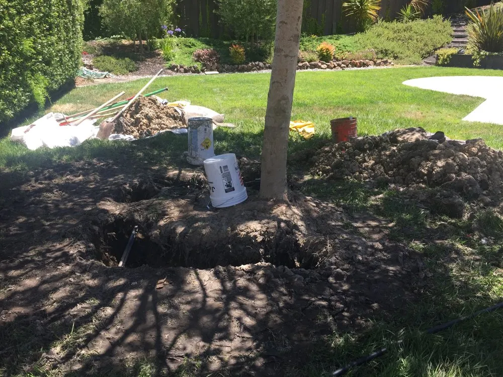 Expert landscape design for residential properties across Sausalito, CA - GSI Landscaping