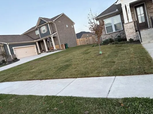 Gsm Landscaping Logo