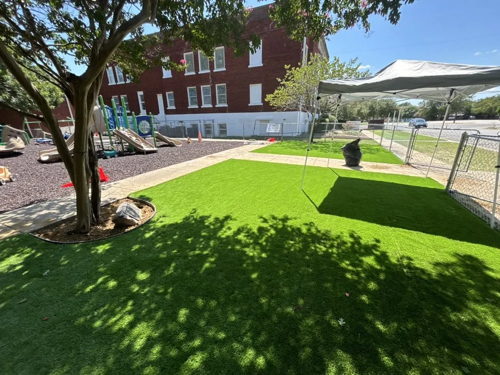 Local yard cleanup service experts serving Princeton, TX - GSTX Landscape Construction