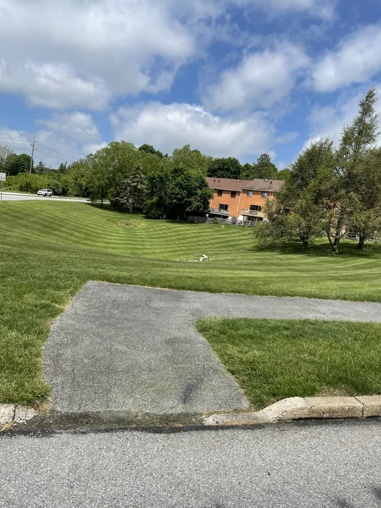 Local yard cleanup service in Philadelphia, PA by Gsupreme Propery Sevices