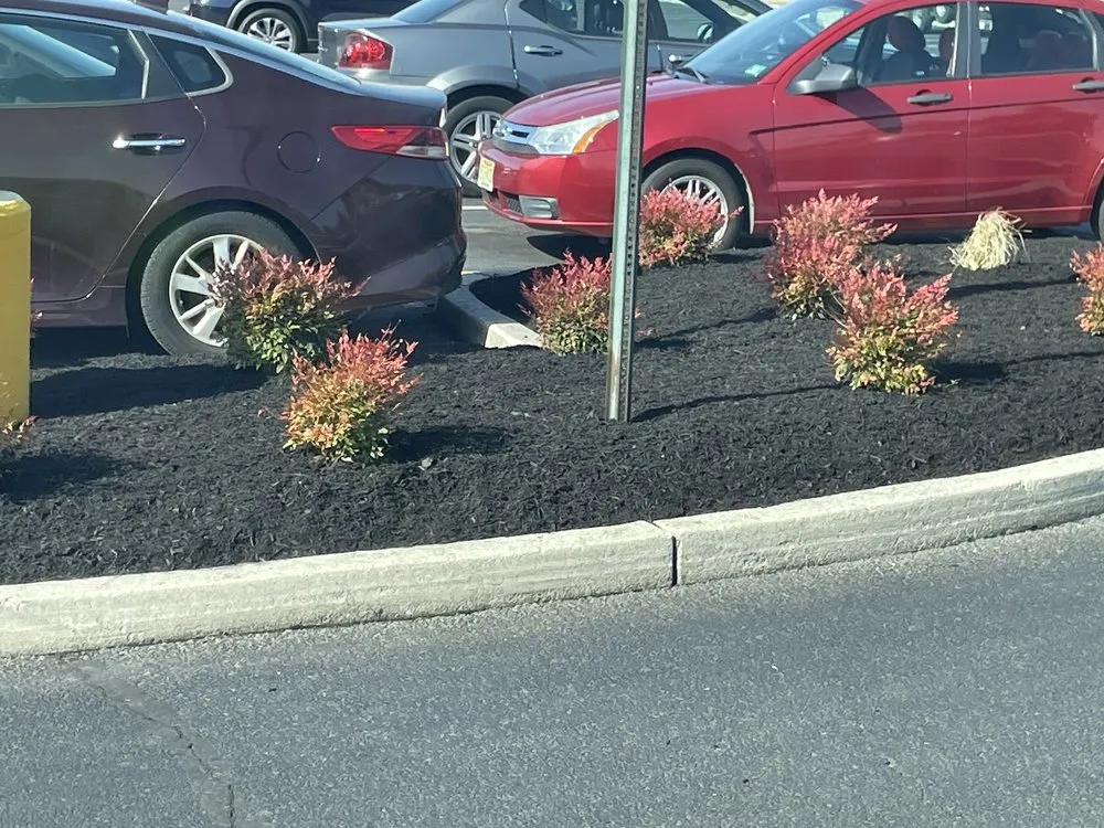 Trusted landscaping services experts serving Philadelphia, PA - Gsupreme Propery Sevices