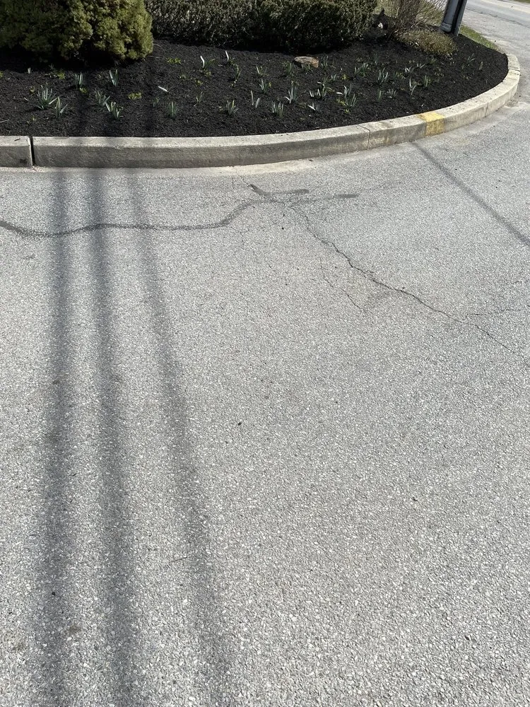 Local yard cleanup service in Philadelphia, PA - Gsupreme Propery Sevices