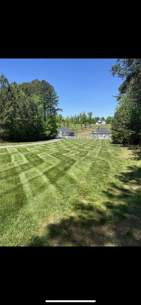 Trusted yard cleanup service in Philadelphia, PA - Gsupreme Propery Sevices